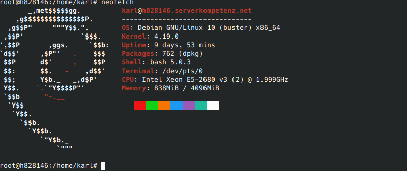 Debian 10 NeofetchAnzeige